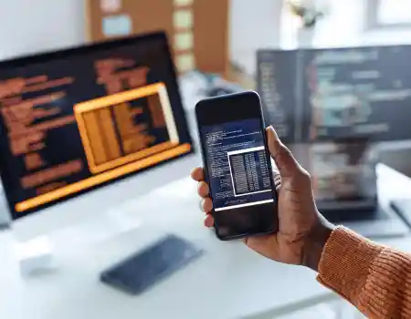 Application Developer
