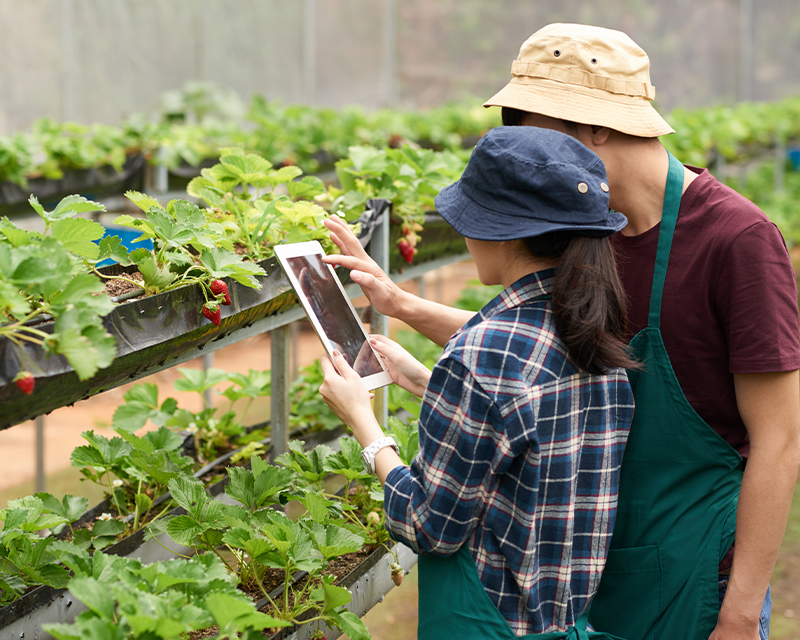 Revolutionizing Agribusiness